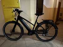Gazelle Cityzen C8+