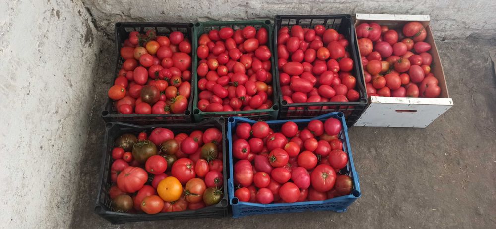 Сік томатний 100% помідори