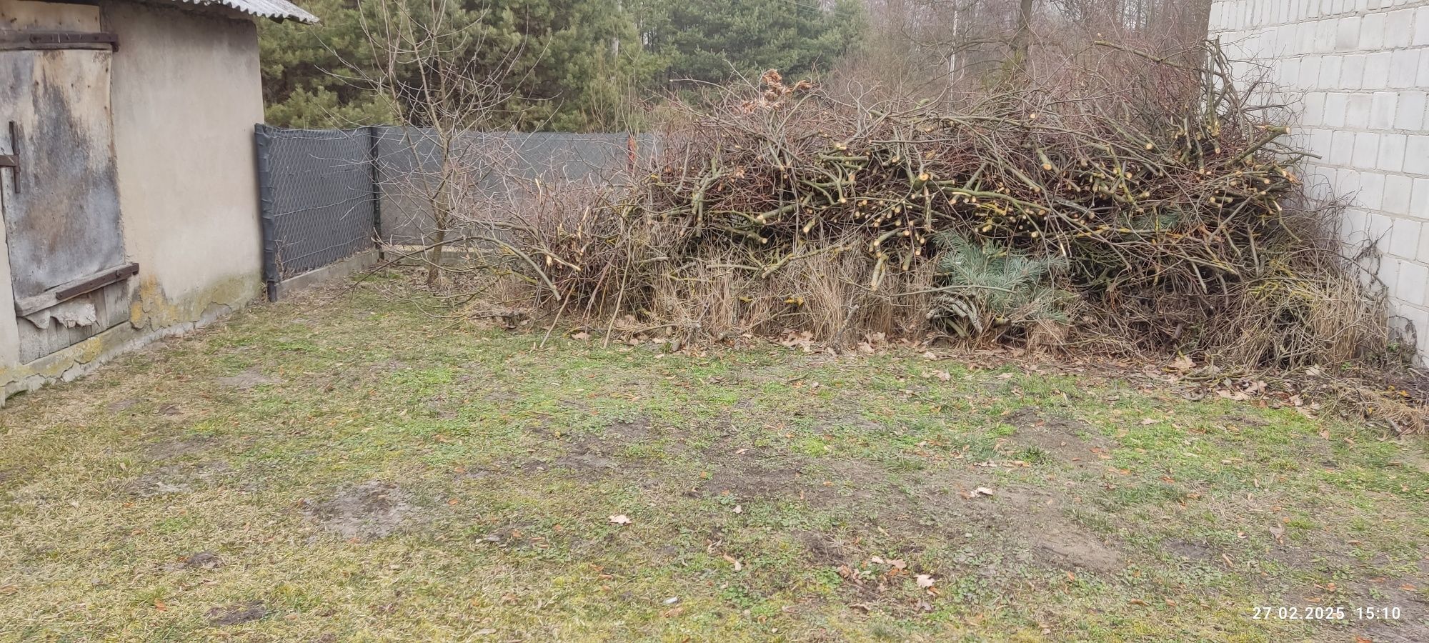 Oddam gałęzie za darmo