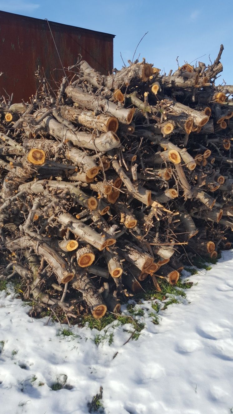 Drzewo jabłonkowe na opał