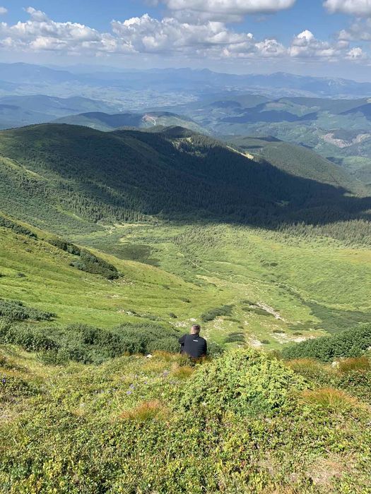 Брусниця перетерта з цукром (не варена)
