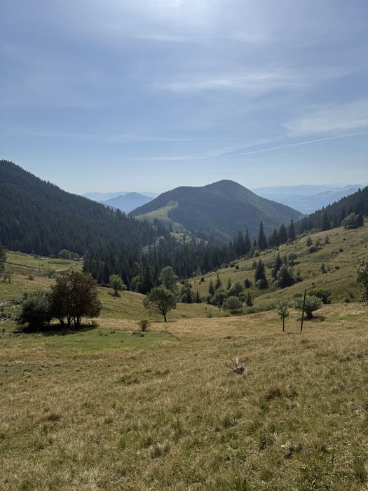 Гори Карпати, Верховина-Віпче, Біла Кобила, під будівництво