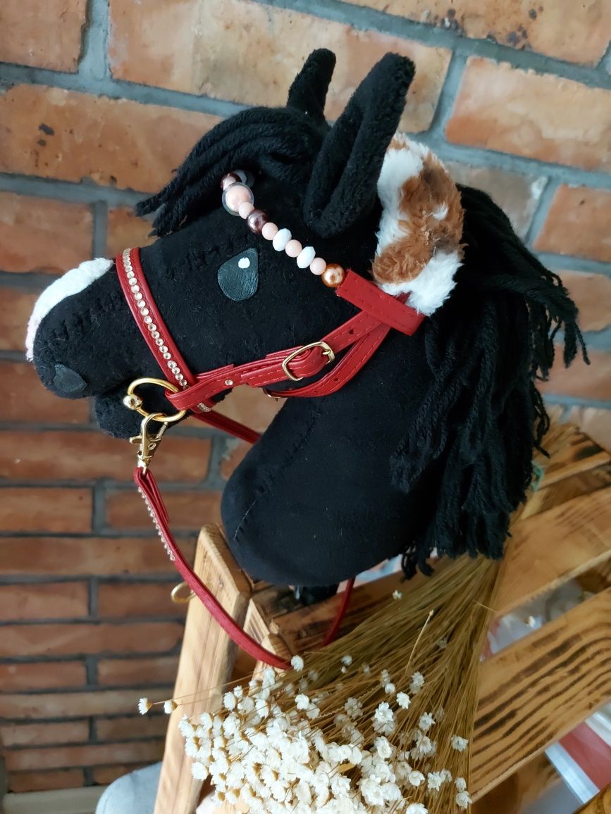 Czerwone A4 na konika Hobby Horse