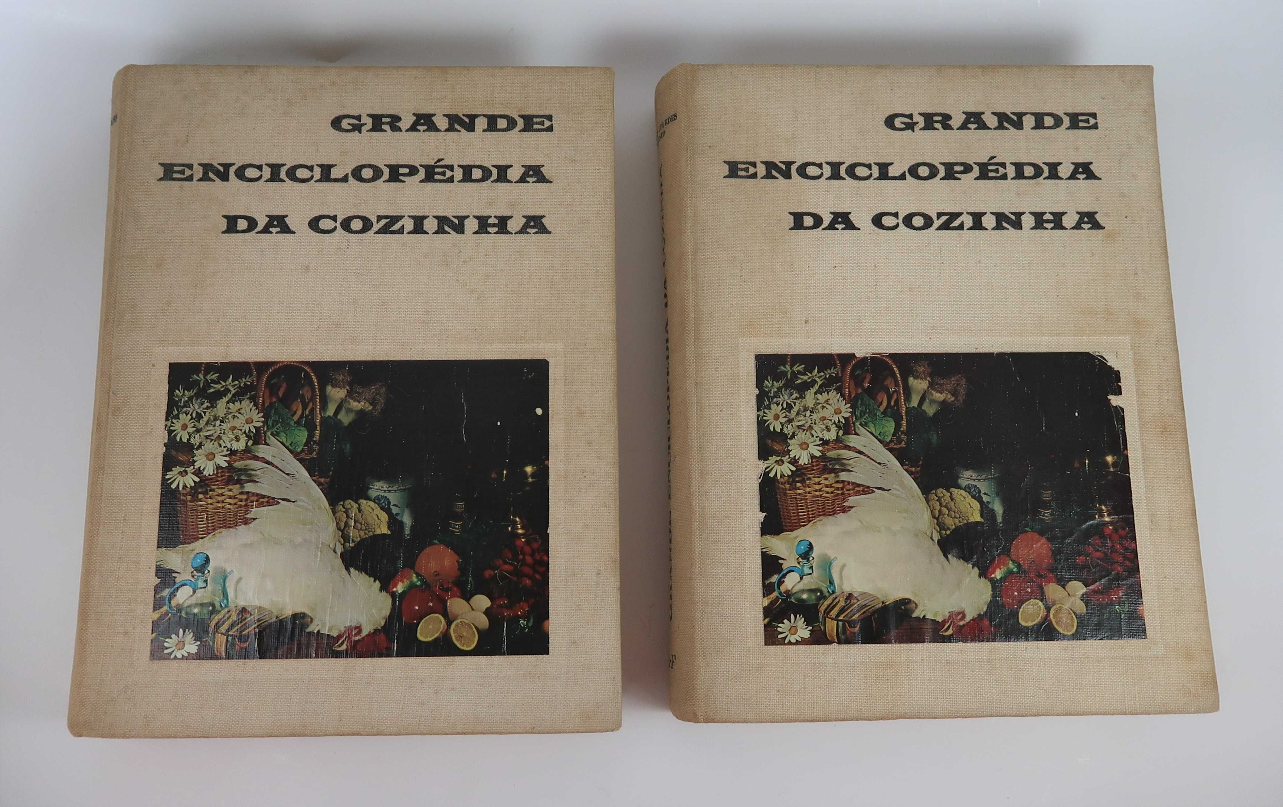 Grande Enciclopédia da Cozinha - Maria de Lourdes Modesto