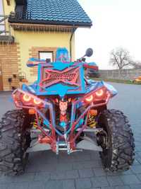 can am renegade 800