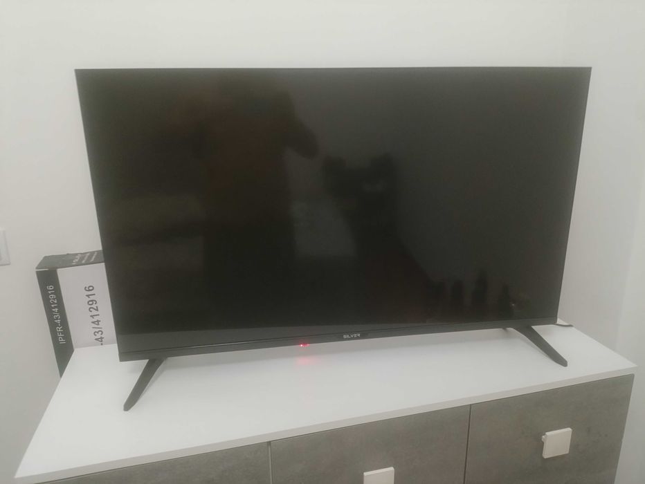 TV 43 polegadas silver