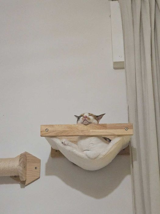 Legowisko hamak dla kota ścienna półka wspinaczka