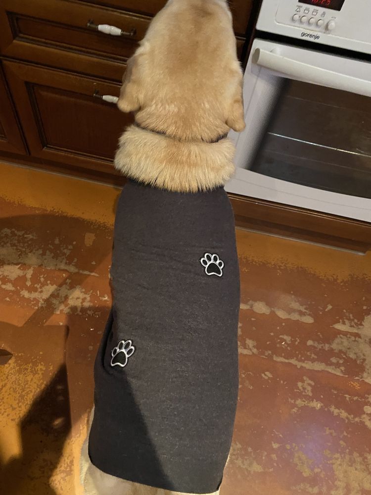 Шерстяной свитер для больших собак, ручной работы