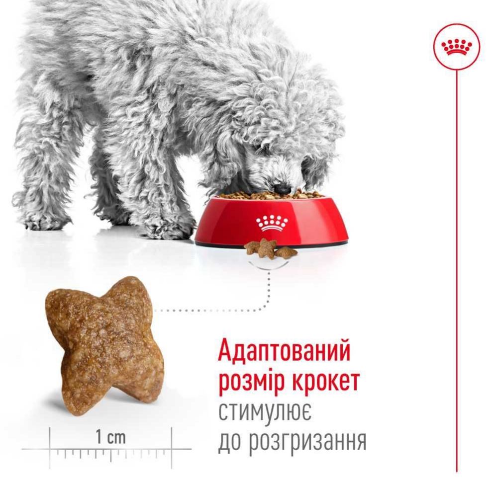 2кг Корм на вагу Mini Adult Royal Canin для собак малих порід. СВІЖИЙ!