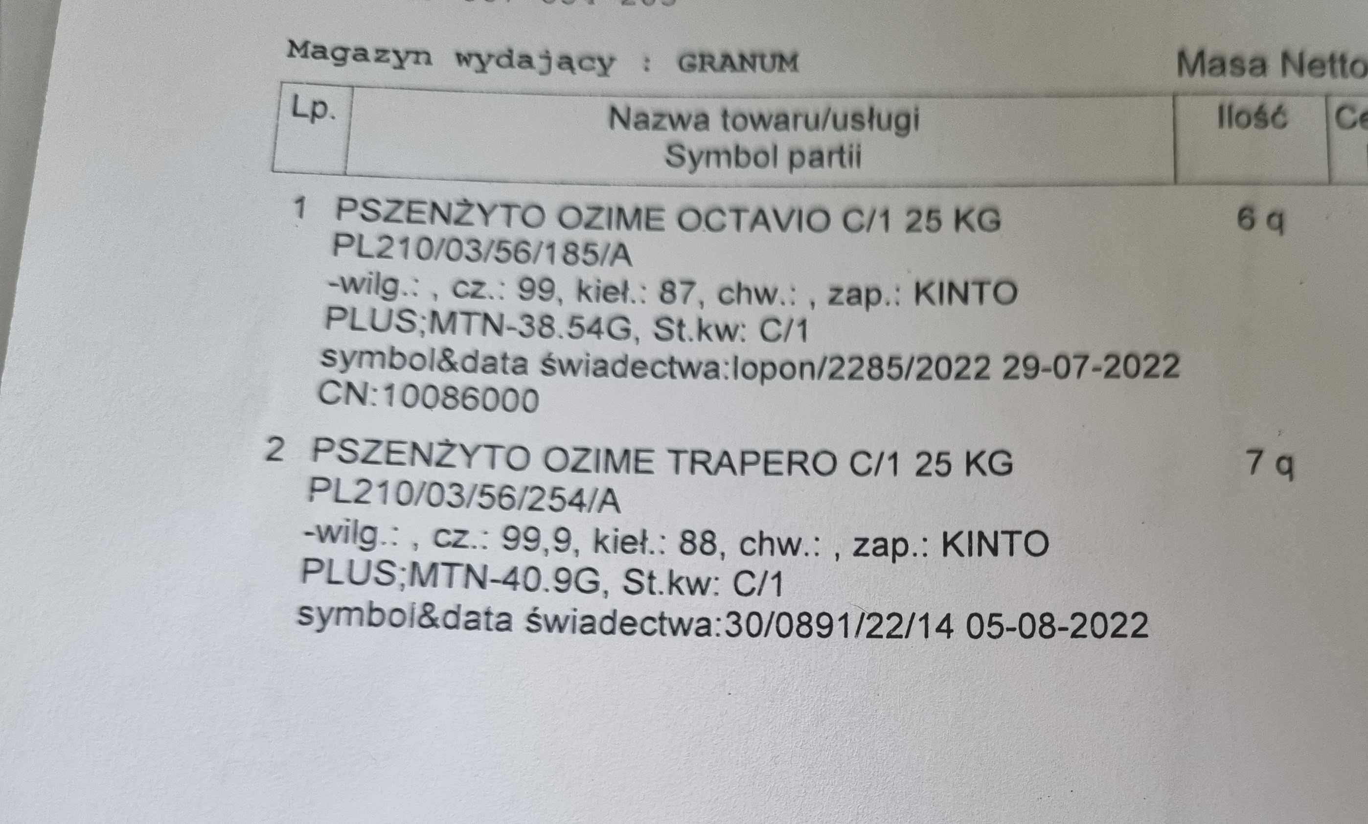 Pszenżyto ozime.