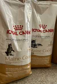 RC Maine Coon 4kg / Worek‼️ Kitten • Adult mix inne Bri ℹ️ RoyalCanin