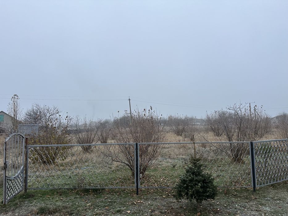 Продам сад лішини фундука 35 соток деревам осг