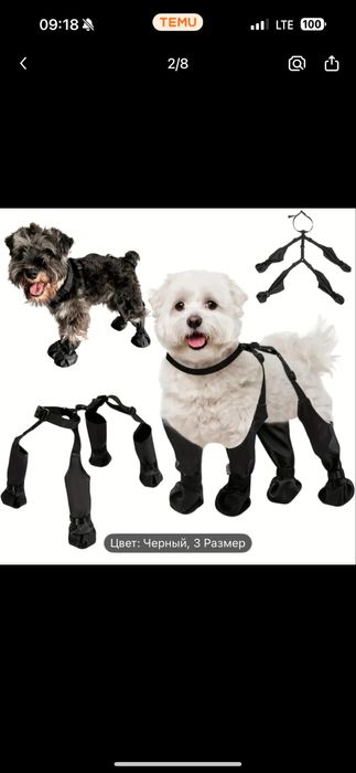 Обувь для собаки