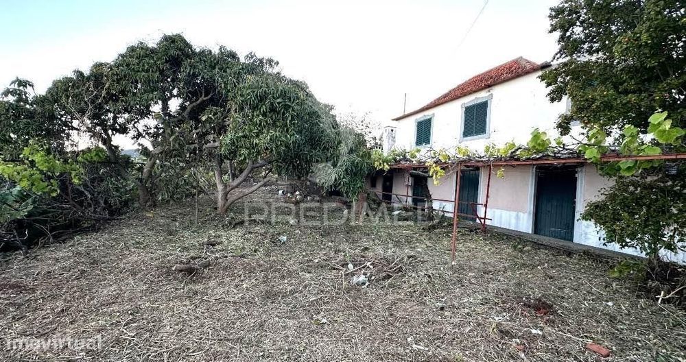 Moradia típica madeirense com terreno de 3140 m²