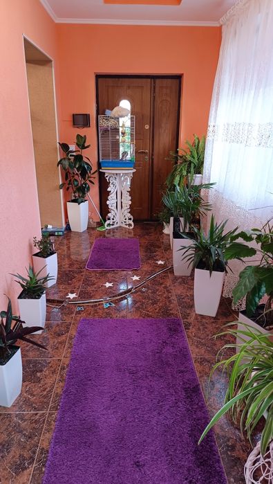 Оренда будинку з басейном на Роші