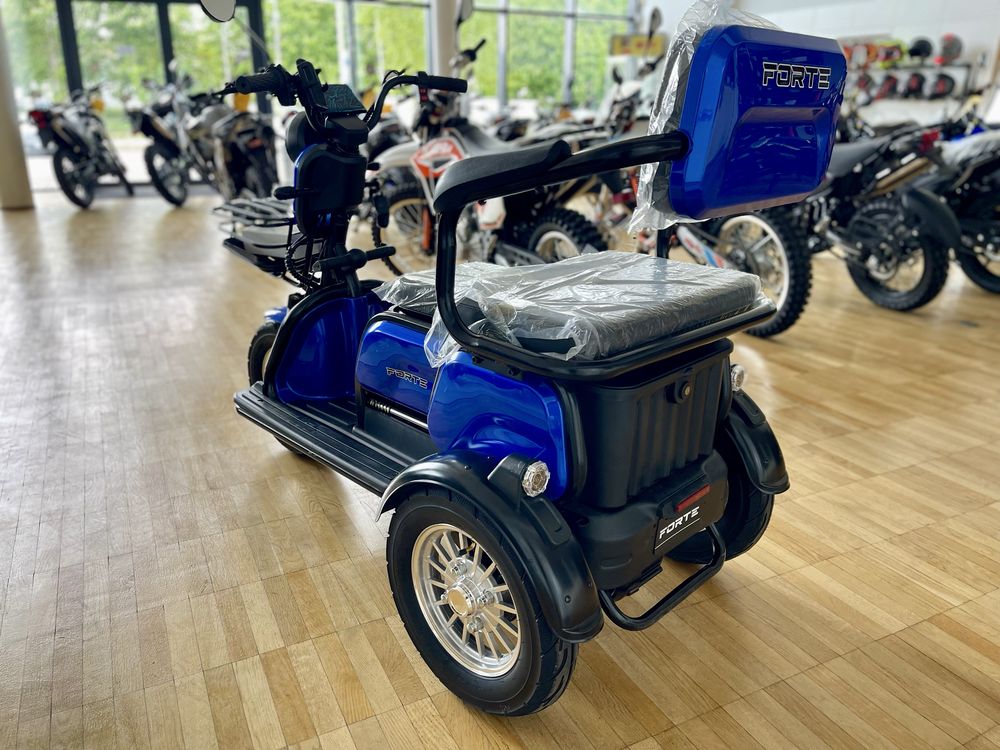 Трицикл акумуляторний Forte FAMILY-WS1000