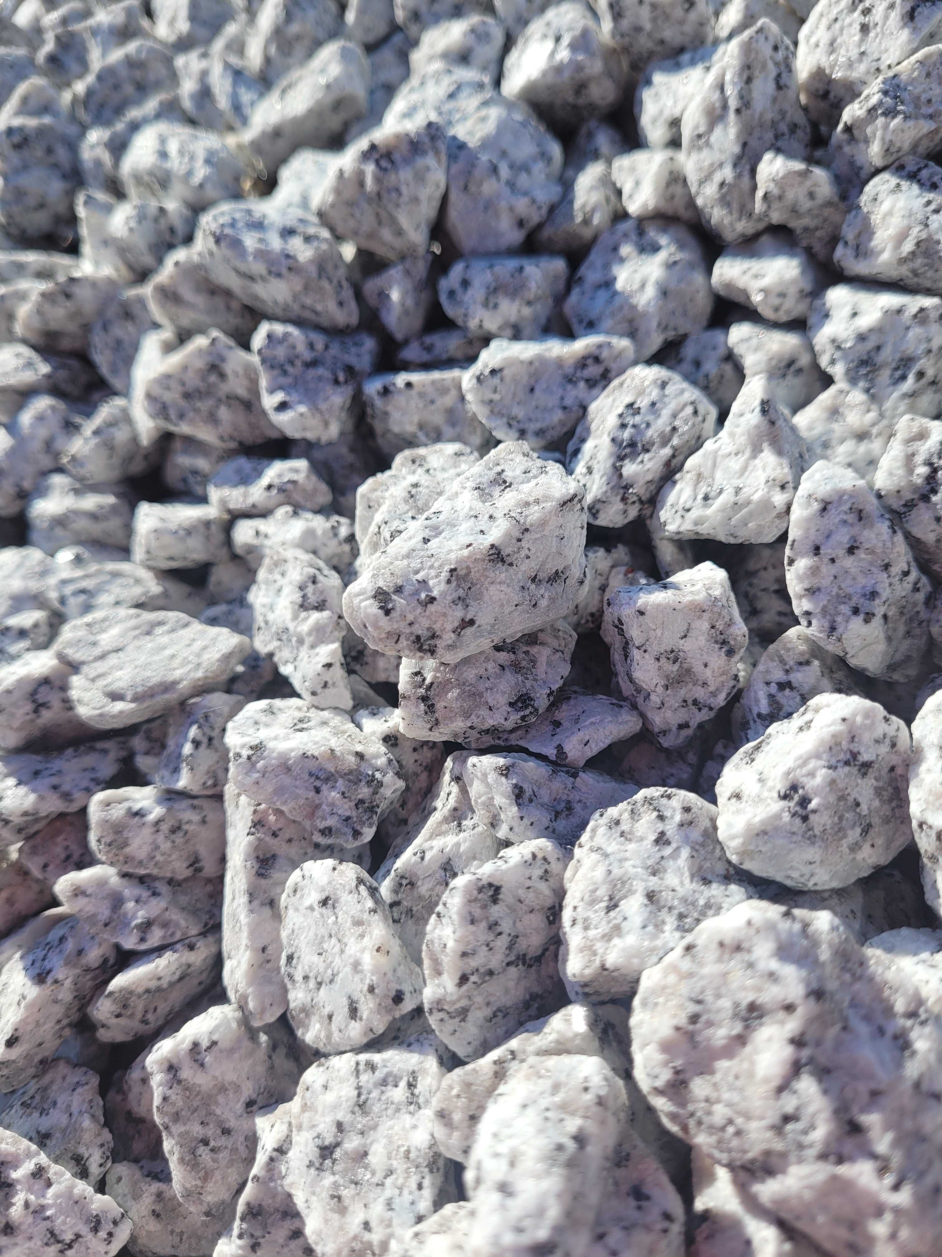 Granit, dalmatyńczyk, grys granitowy 16-22