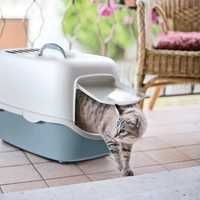 Закритий переносний туалет для котів з фільтром антизапах