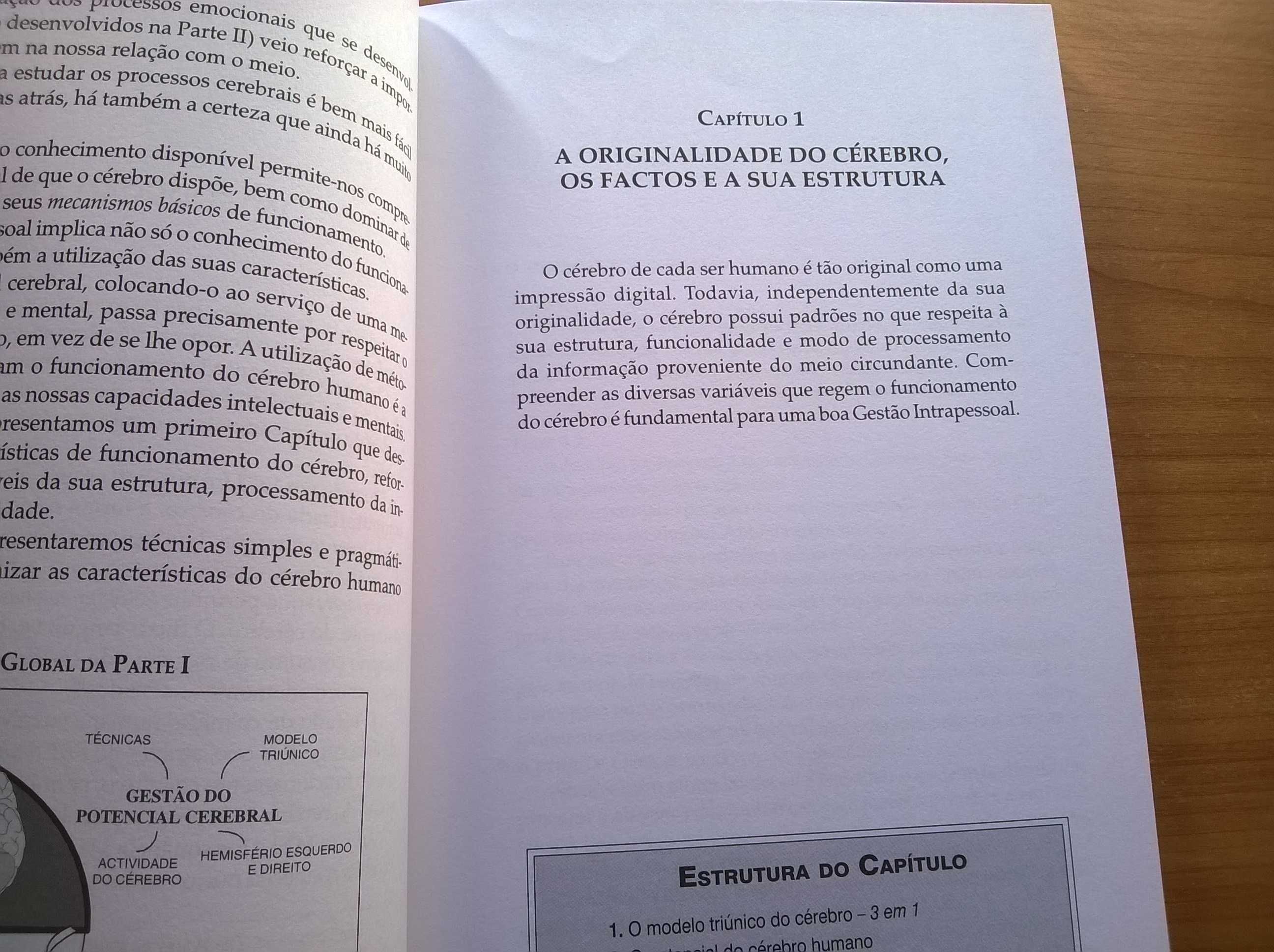 Cerebrus A Gestão Intrapessoal - Paulo Balreira Guerra