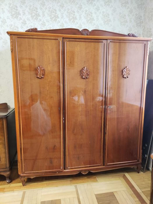 Шафа дерево Румунія