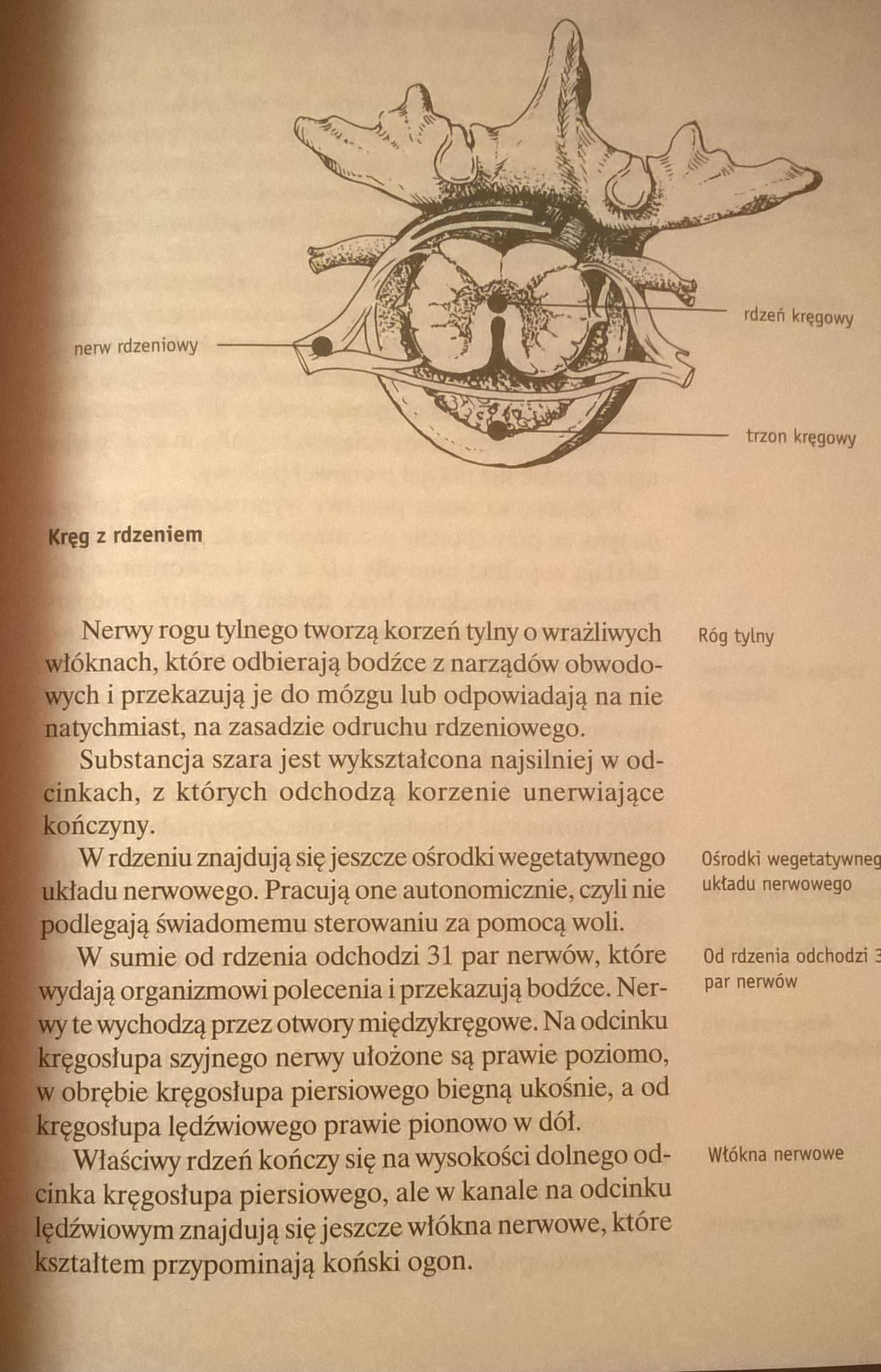 Bóle Kręgosłupa Gerhard Leibold nowa sprzedam
