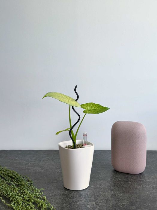 Podpórka do roślin kwiatów 5X VIBE S druk 3D monstera