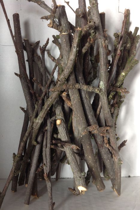 Hej :) Kup u mnie #Gryzaki #przekąska #gałązki #patyczki #jabłoni