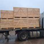 Skrzynio-palety 160x120x120 (1 tona), PRODUCENT