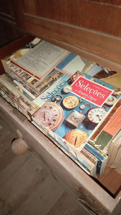 Livros Enigma Vampiro