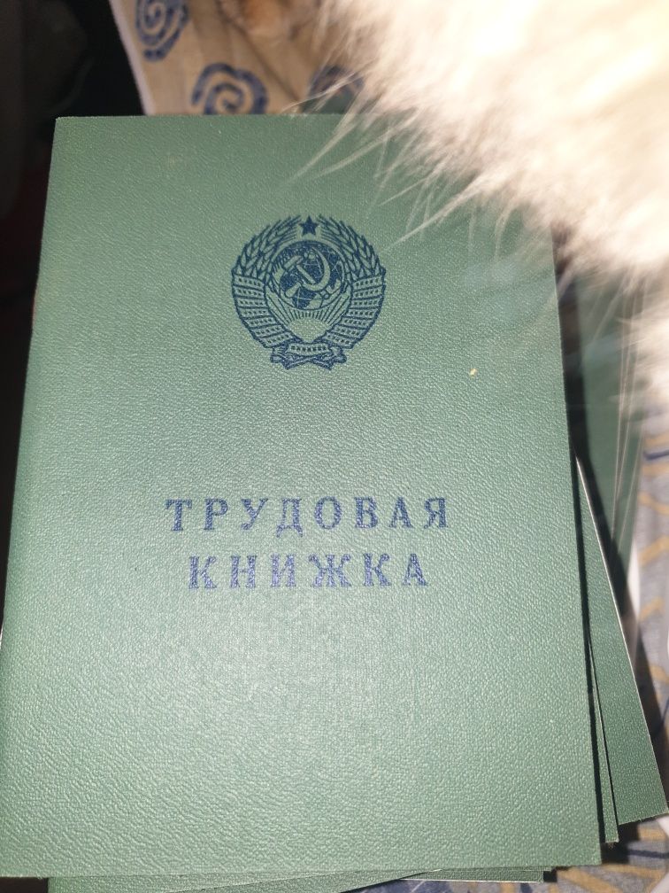 Трудовая книга Вкладыш в трудовую книжку БТ-1