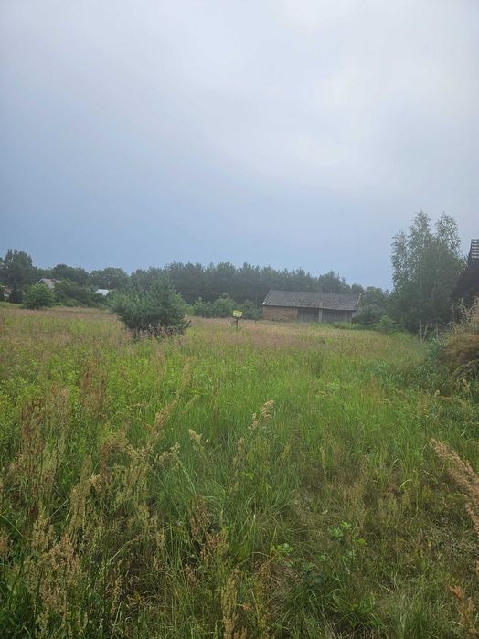 Działka Wola Rzeczycka gmina Radomyśl nad Sanem