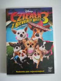 Cziłała z Beverly Hills   3  (Beverly Hills Chihuahua  3  (DVD)