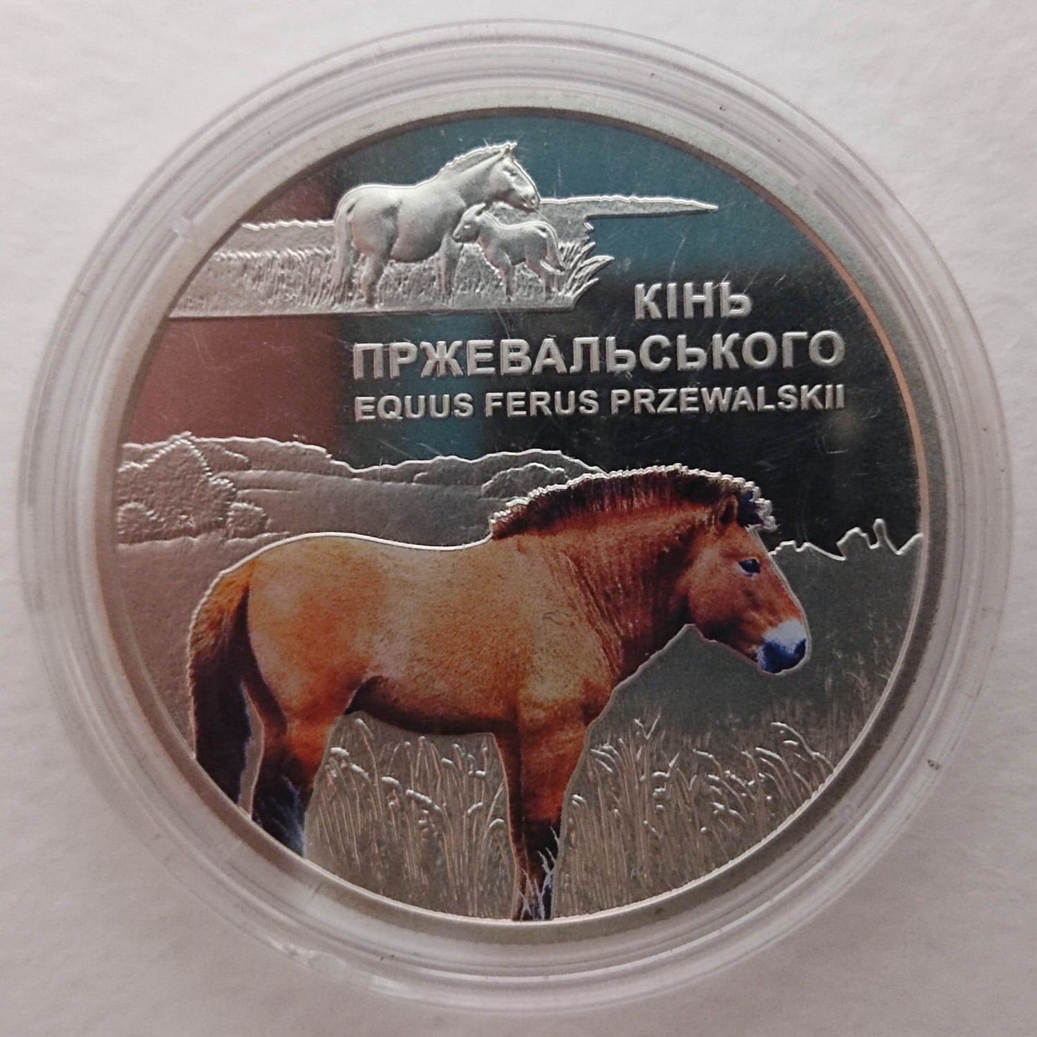 Монета 5 гривень 2021 рік Чорнобиль. Відродження. Кінь Пржевальського