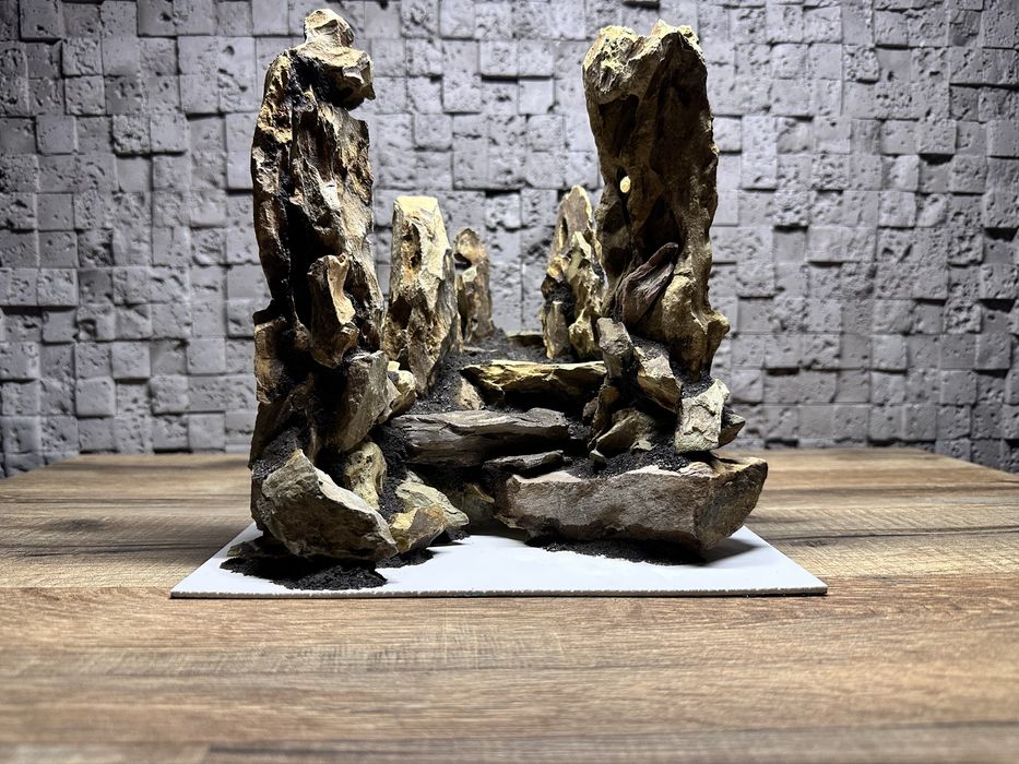 Готова композиція для акваріума/тераріума