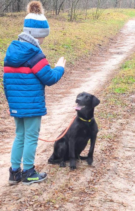 Szkolenie Psów  Behawiorysta Koło, Konin, Turek