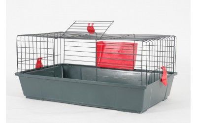 Zolux klatka dla królika świnki morskiej 80x43x33