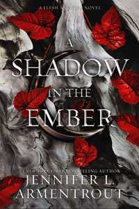 A shadow in the ember відноситься до серії Із крові і попелу