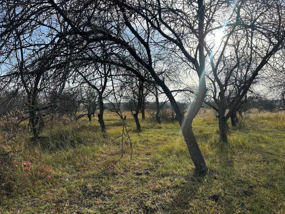 Продаж ділянки 10 соток під забудову. Біля лісу.Зручний під'їзд.ID:728