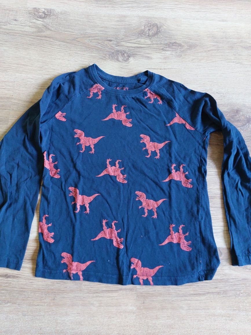 Zestaw dla miłośników dinozaurów  longi sweter H&M  134