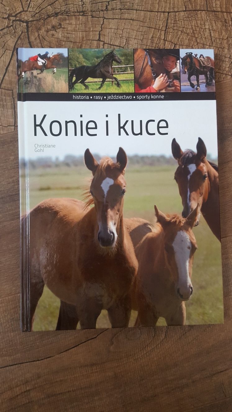 Konie i kuce. Poradnik/album