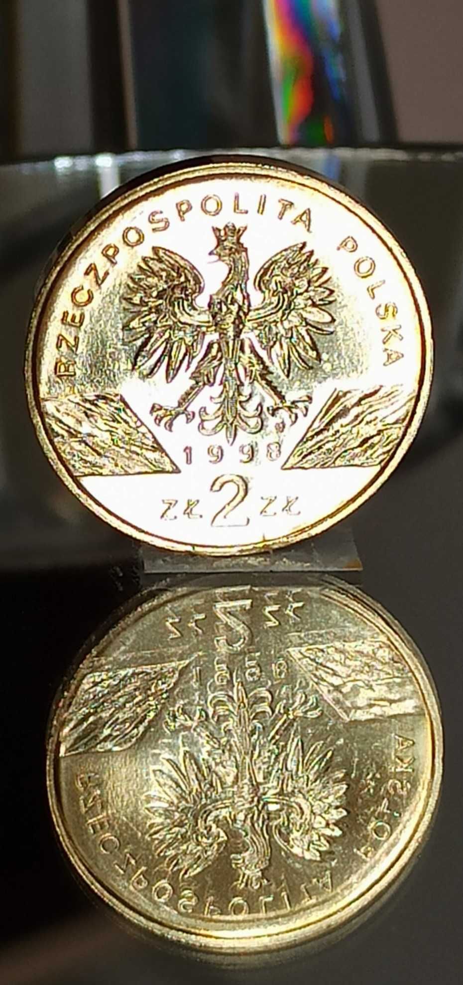 2 zł 1998 r. Ropucha Paskówka