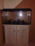 Akwarium dla rybek