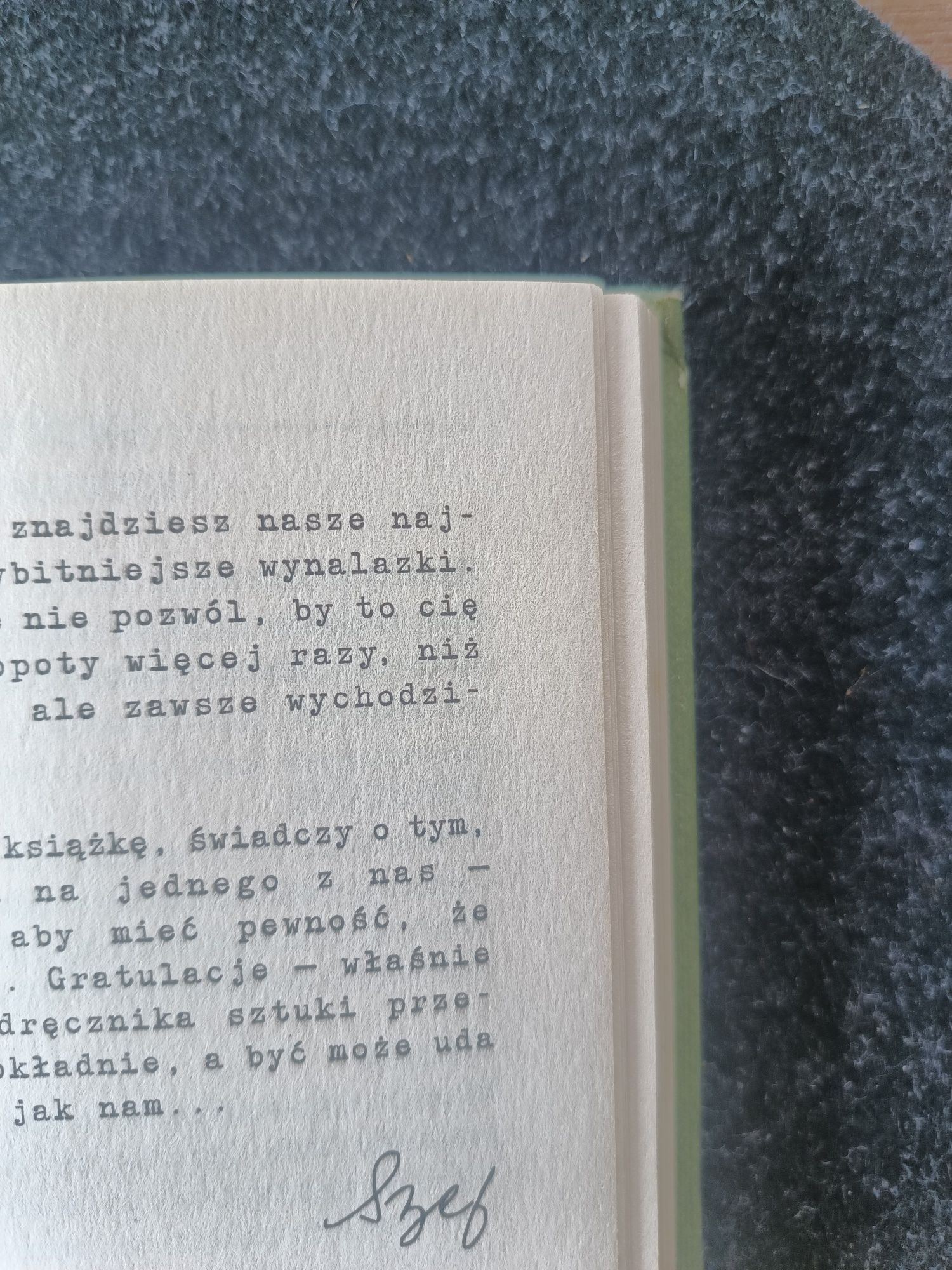 Minecraft książka przygodowa