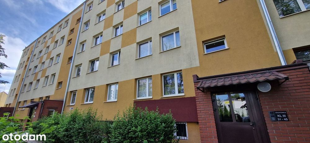 Bezpośrednio! Gruntowa 8