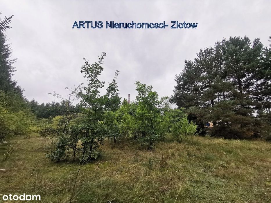 Działka przemysłowo-usługowo - Złotów, ul. Brzozow