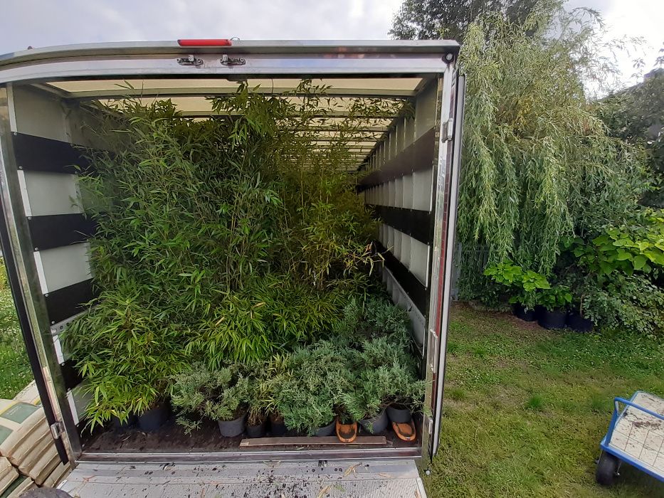 Usługi transportowe, auta z windą, transport, przewóz, Solówka 18 pal.