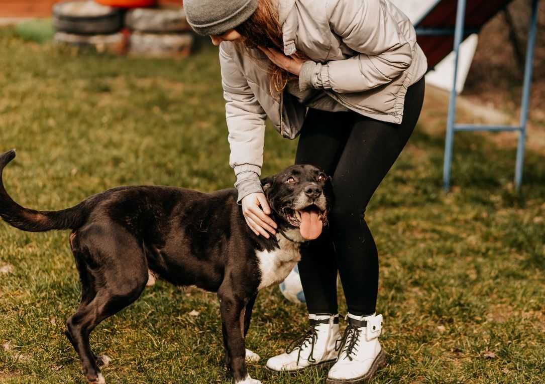 Jestem czarny, jestem duży... Nikt mnie nie adoptuje...