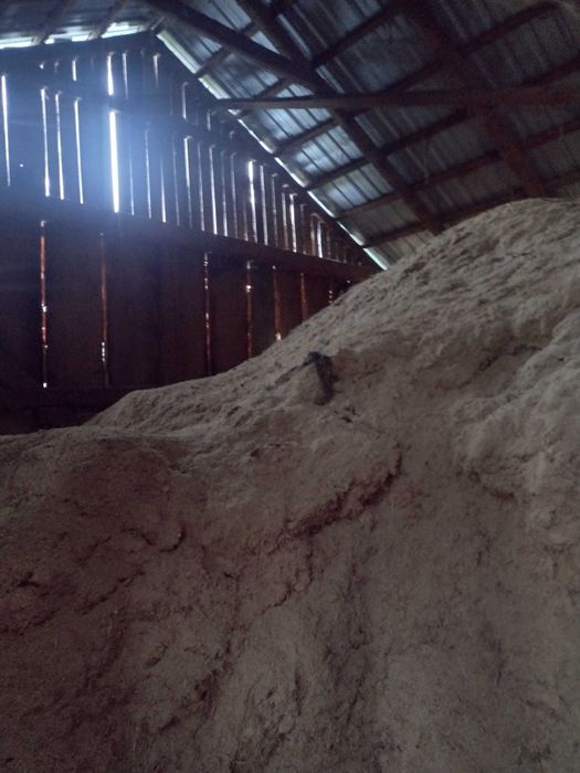 Trociny suche mieszane