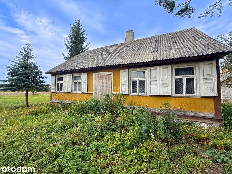 Siedlisko 1,1 ha w Kozłach