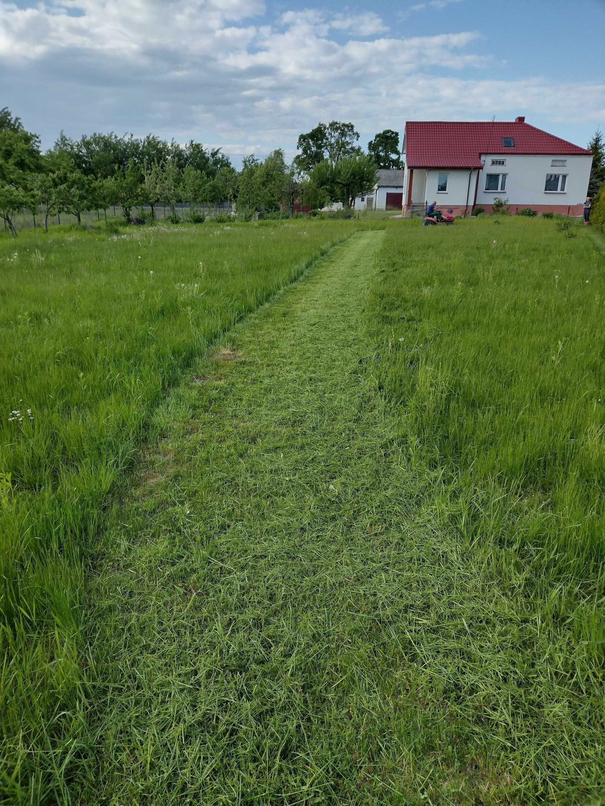 Koszenie trawy kosą i kosiarką